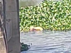 Polisi Selidiki Penemuan Mayat di Bawah Jembatan Kembar Gowa