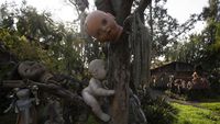 5 Tempat Wisata Paling Unik di Dunia, Ada Pulau Boneka Seram