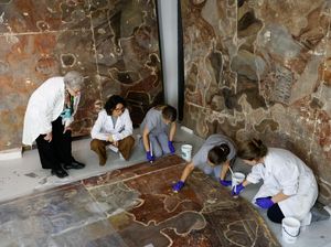 Ilmuwan di Spanyol Manfaatkan Bakteri untuk Restorasi Lukisan Dinding Ilmuwan di Spanyol Manfaatkan Bakteri untuk Restorasi Lukisan Dinding