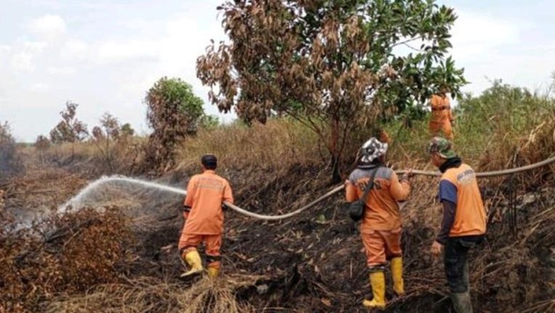 Empat Daerah di Sumsel Terjadi Karhutla, PALI 4 Kejadian