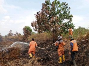 Provinsi Sumsel Naikkan Status Siaga Hadapi Karhutla Provinsi Sumsel Naikkan Status Siaga Hadapi Karhutla