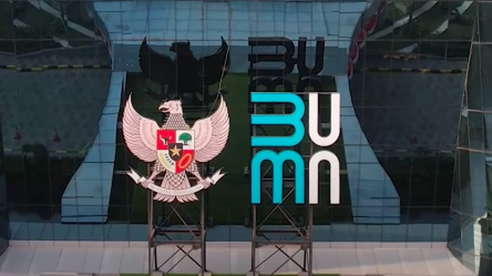 Wamen Jadi Komisaris BUMN? Kata Ahli, Seharusnya...