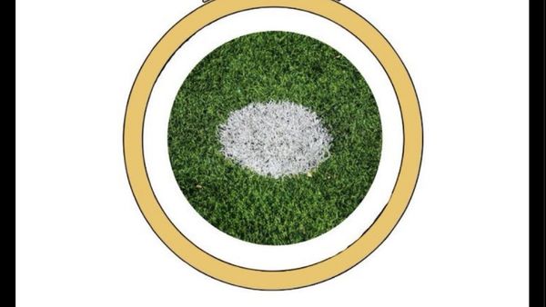 Real Madrid Dilibas Lille, Diledek Meme