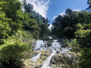Taman Nasional Chu Mom Ray, Permata Baru dari Vietnam Taman Nasional Chu Mom Ray, Permata Baru dari Vietnam