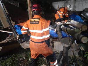 Pohon Tumbang Timpa Bedeng Pekerja Bagunan di Bogor, 3 Orang Terluka