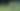 Persib saat menghadapi Zhejiang di laga sebelumnya. Foto: Dok. Persib