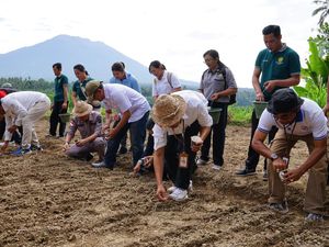 Tingkatkan Produksi Beras, Distan Karangasem Akan Tanam 200 Hektare Padi Gogo