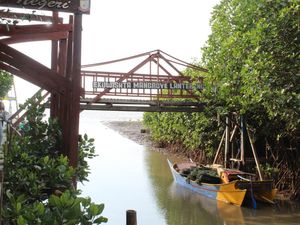 Ekowisata Mangrove Lantebung Makassar, Pesona Sunset di Tengah Hutan Bakau Ekowisata Mangrove Lantebung Makassar, Pesona Sunset di Tengah Hutan Bakau
