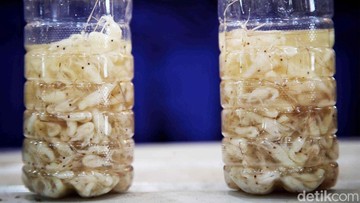 The Art of Baking: From Classic Bread to Artisan Pastries