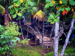 Jembatan Reot Saksi Bisu Pembunuhan Sadis Diki di Sukabumi