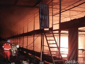 Kandang di Juwiring Klaten Terbakar, 40 Ribu Ayam Mati Terpanggang
