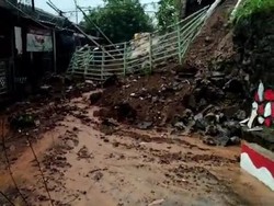 Diguyur Hujan Deras, Longsor-Pohon Tumbang Terjadi di Sejumlah Titik di Bogor