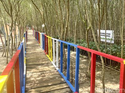 Menyusuri Keindahan Ekowisata Pasir Putih di Karawang