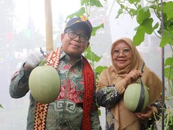 Pj Gubernur Lampung Resmikan Poskesdes dan Panen Melon di Tanggamus