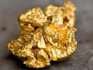 Ada Bakteri Penggali Emas, Bisa Hasilkan Partikel Berharga Ada Bakteri Penggali Emas, Bisa Hasilkan Partikel Berharga