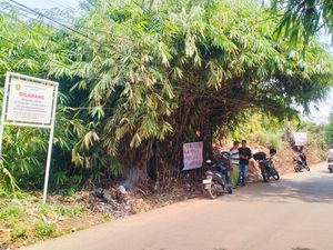 Pria di Bogor Dimarahi Warga hingga Tiarap karena Buang Sampah Sembarangan Pria di Bogor Dimarahi Warga hingga Tiarap karena Buang Sampah Sembarangan