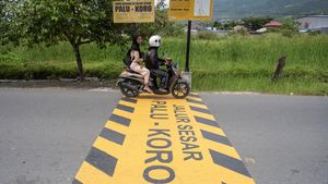 Waspada Bencana, Kini Ada Penanda Jalur Sesar Aktif Palu-Koro