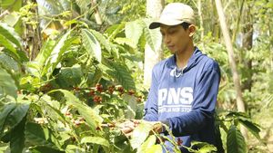 Potret Ekoturisme Keren di Blitar, Bisa Mengenal Rempah-rempah