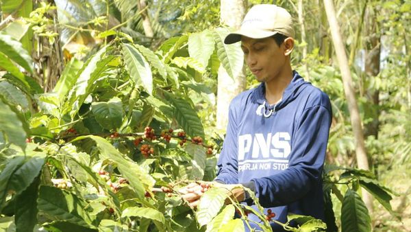 Potret Ekoturisme Keren di Blitar, Bisa Mengenal Rempah-rempah