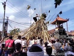 Kemeriahan Tradisi Mekotek Hari Raya Kuningan di Bali dan Asal-usulnya
