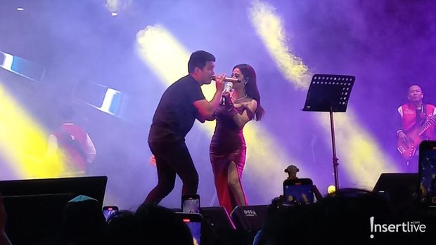 Aldi Taher dan Dewi Perssik