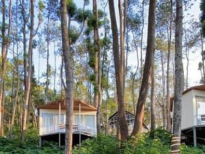 Sensasi Glamping di Tengah Hutan Pinus Batur Kintamani