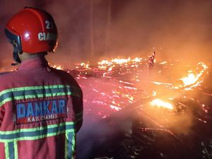 Kandang di Ciamis Terbakar, 3.500 Ayam Mati Terpanggang