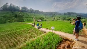 Potret Wisata Persawahan Arjasari yang Cantiknya Mirip Ubud Bali