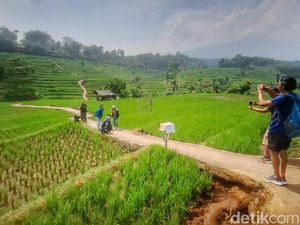 Potret Wisata Persawahan Arjasari yang Cantiknya Mirip Ubud Bali Potret Wisata Persawahan Arjasari yang Cantiknya Mirip Ubud Bali