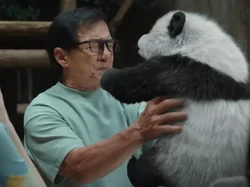 7 Fakta Menarik Panda Plan, Aksi Jackie Chan Jadi Ayah Binatang