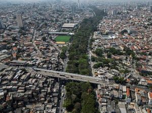 Pria Tanam 40 Ribu Pohon dalam Dua Dekade, Jadi Taman Rindang