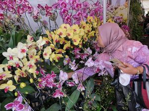 Warna-warni Anggrek Mejeng di Pameran Nasional Kota Batu