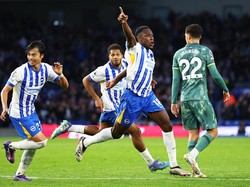 Brighton Vs Tottenham: Comeback, The Seagulls Bungkam Spurs 3-2