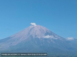 Gunung Semeru Erupsi Beberapa Kali Hari Ini