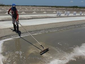 KKP Bidik NTT Jadi Model Percontohan Produksi Garam