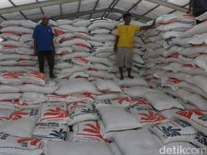 Ada Temuan Beras Kutu di Gudang Bulog, Masih Bisa Dikonsumsi? Ada Temuan Beras Kutu di Gudang Bulog, Masih Bisa Dikonsumsi?
