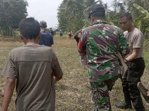 Lepas dari Pengawasan, Balita di Musi Rawas Tewas Tenggelam di Siring Irigasi Lepas dari Pengawasan, Balita di Musi Rawas Tewas Tenggelam di Siring Irigasi