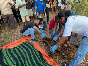 Hilang 3 Bulan, Perempuan Alor Ditemukan Tinggal Tulang Belulang di Hutan Hilang 3 Bulan, Perempuan Alor Ditemukan Tinggal Tulang Belulang di Hutan