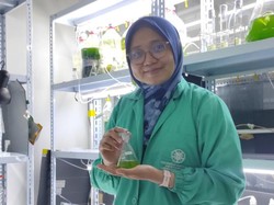 Riset Mahasiswa UGM Ini Raih Dana Hibah dari Jepang, Begini Hasil Penelitiannya