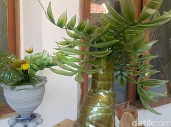 Warga Kota Probolinggo Sulap Galon Bekas jadi Lampu Hias Cantik