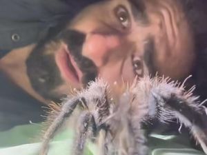 Jangan Coba-coba Kemah di Amazon, Kalau Tidak Ingin Seperti Ini