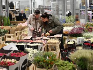 Berburu Bunga Segar di Pasar Kembang London Berburu Bunga Segar di Pasar Kembang London