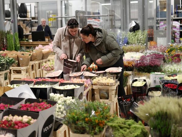 Berburu Bunga Segar di Pasar Kembang London
