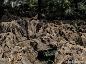 Terpopuler Sepekan: 5 Wisata Alam Alternatif Puncak Terpopuler Sepekan: 5 Wisata Alam Alternatif Puncak