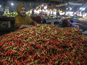 Duh! Harga Cabai Kini Setara Daging Sapi Duh! Harga Cabai Kini Setara Daging Sapi