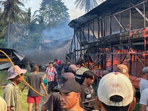 8.000 Ayam Mati gegara Kandang Terbakar di Kolaka, Pemilik Rugi Rp 1 Miliar 8.000 Ayam Mati gegara Kandang Terbakar di Kolaka, Pemilik Rugi Rp 1 Miliar