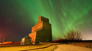 Cantiknya Aurora Borealis di Langit Kanada