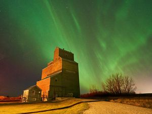 Cantiknya Aurora Borealis di Langit Kanada