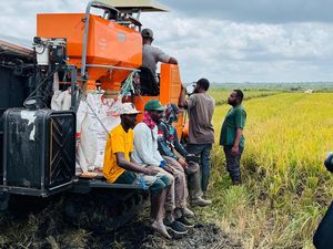 Sektor Pertanian RI Disebut Kian Menjanjikan, Ini Buktinya