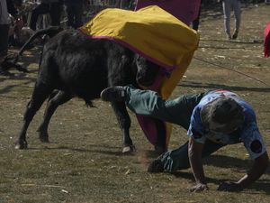 Melihat Festival Adu Banteng Terbesar di Bolivia